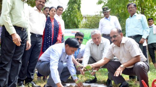 पौधे लगाने से मिलेगा स्वच्छ और स्वस्थ वातावरण: प्रो. पीके दशोरा